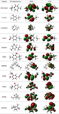 Antiviral Essential Oil Components Against SARS-CoV-2 in Pre-procedural Mouth Rinses for Dental Settings During COVID-19: A Computational Study